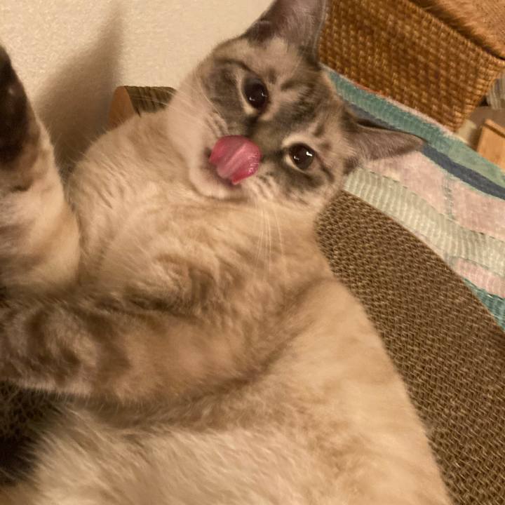 89996e32 159c 4082 a615 3715de36f748 1721394688926