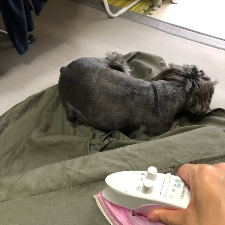 8999a323 0c17 4050 8624 0667bdfd7445 1568619200204