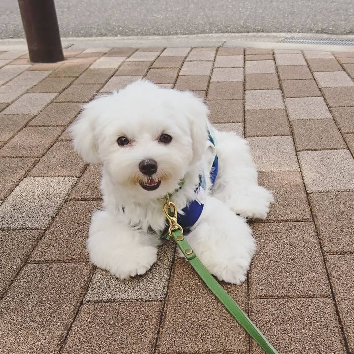 8999dd88 5a76 4fa2 98ef 81817b23081a 1601572301017