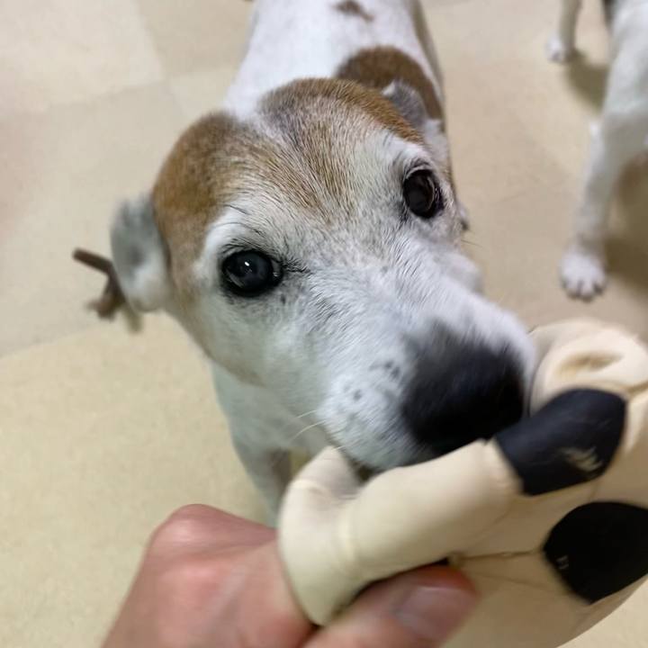 8999df89 ebcd 4e5d 90b8 e3eb9967b267 1627940858745