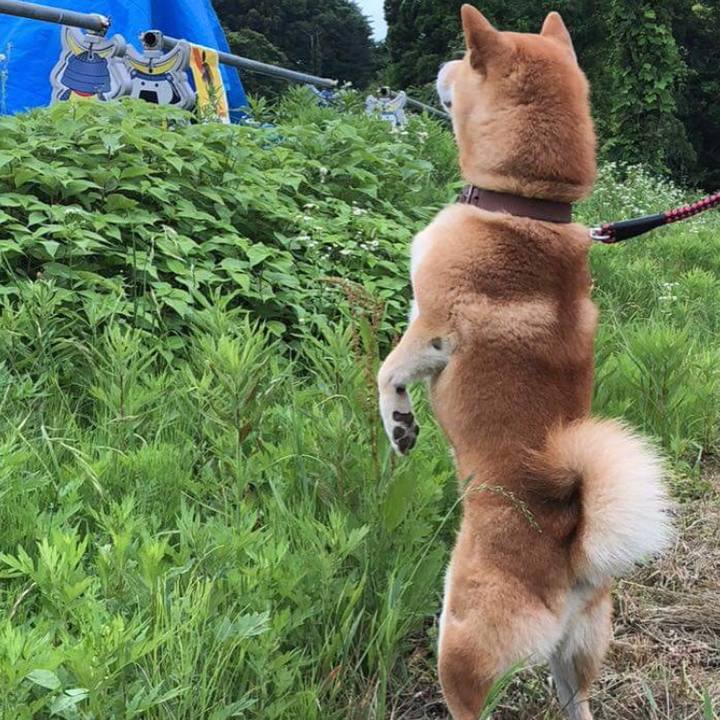 8999f3ae 5432 48b5 b787 5845d2e41532 1530755717660