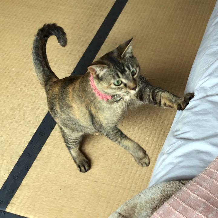 899a0016 1474 4f6b 8e9d d01afe50733d 1588654467905