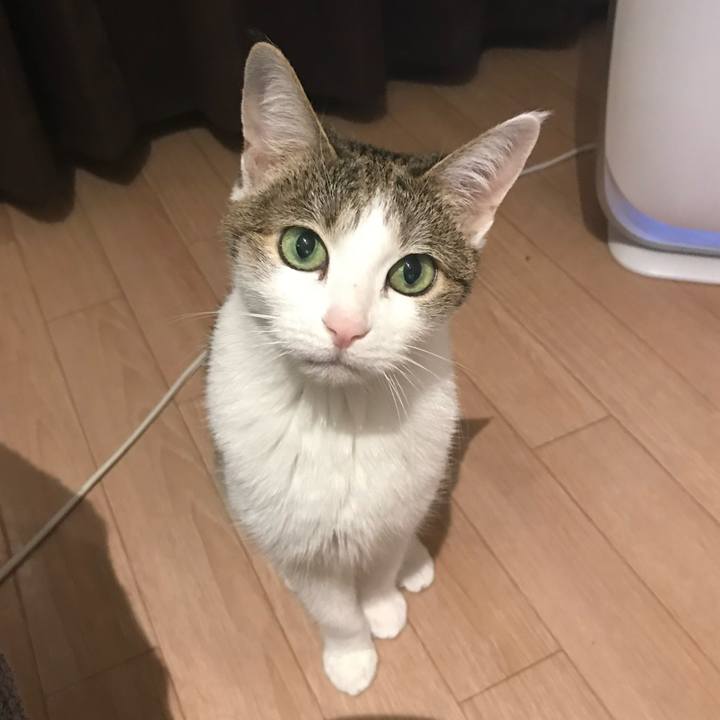 899a15d0 18fd 4b7f 98bb b745f89f5aa3 1723546648100