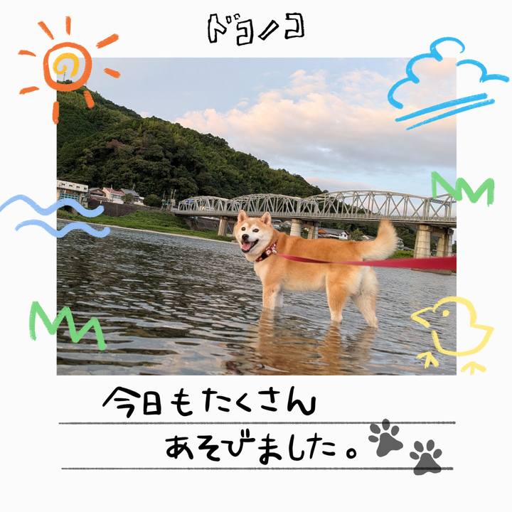 899a41e5 3eeb 4595 a6fd 8510c729a25a 1755519822762