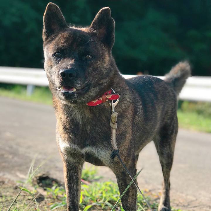 899a62d4 1ee5 432f a997 b03bc04b5cfa 1537241901544