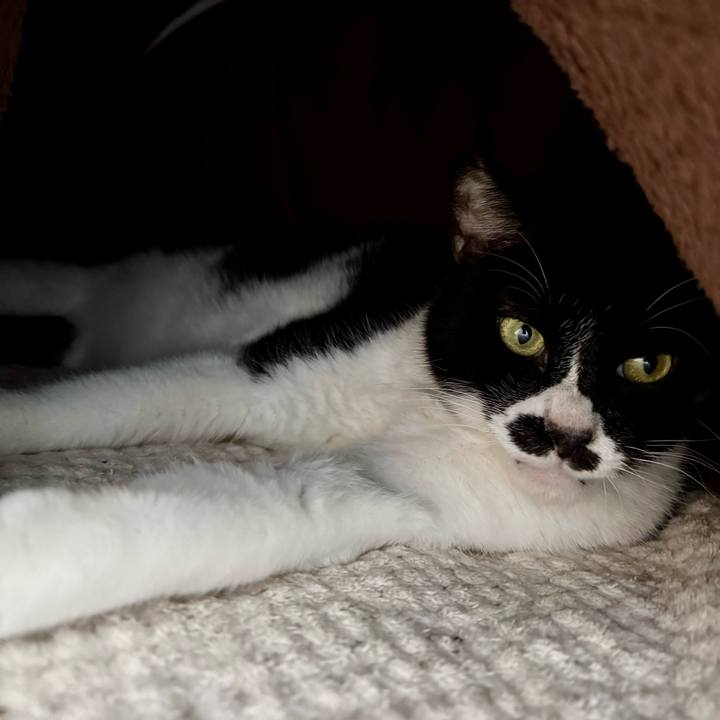 899a8ac6 9759 4e48 a120 e6ff3708624b 1736725465337