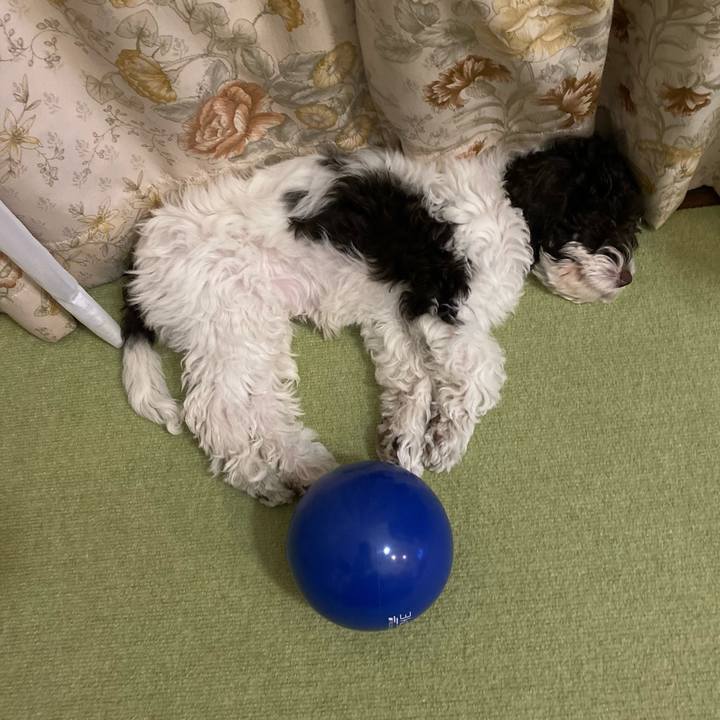 899ab518 1733 4f86 afb5 65dbae35ee60 1609162158557