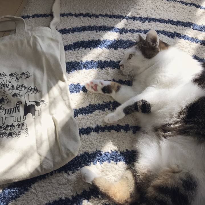 899ab75e b3f4 479e 9ca4 f79682c379ed 1541741740050