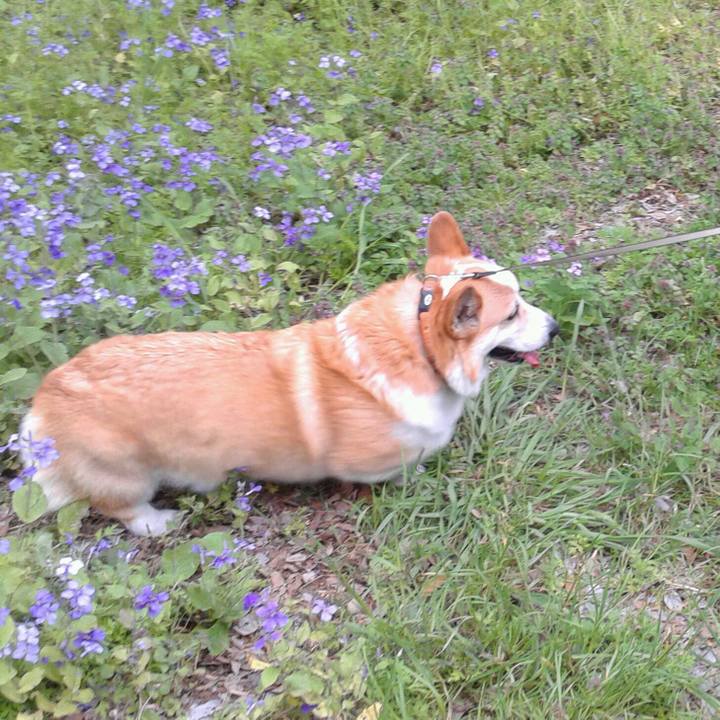 899ac570 1f4d 4739 a0e9 b40a2d02d174 1647741150353