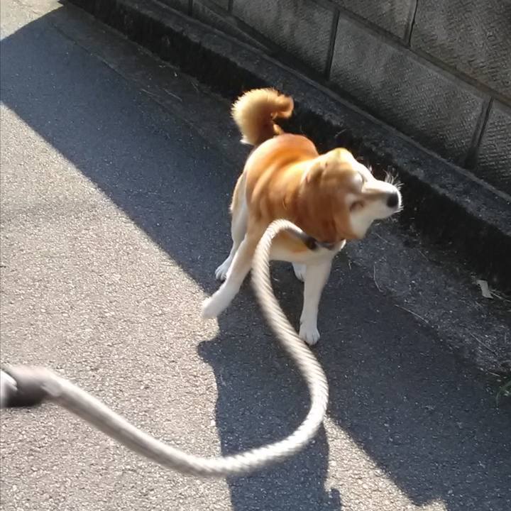 899ac6cc 73f0 484b 80d2 349dd52f66ef 1651564638284