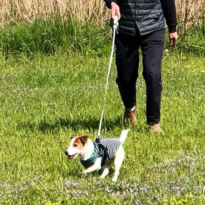 899aeeda 75c6 4b3a b568 27f1a2bf3d78 1745641374028