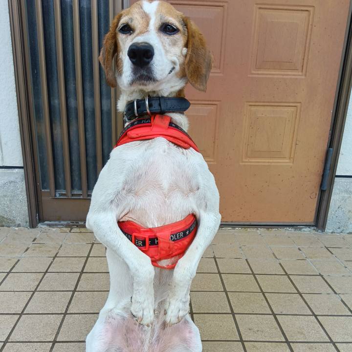 899af379 cd1e 4697 8f76 44c492c1c97c 1723002208950