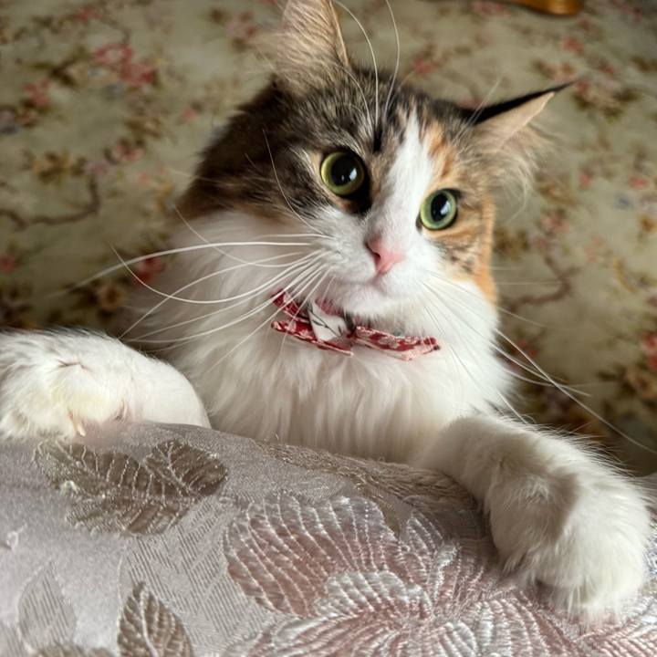 899b04a9 b604 4896 bec7 313b41e3067c 1764485652472