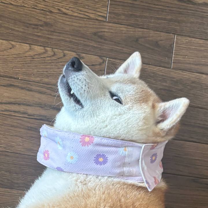 899b1f9b 7941 46a3 b134 f7aba433c4cf 1754518185326