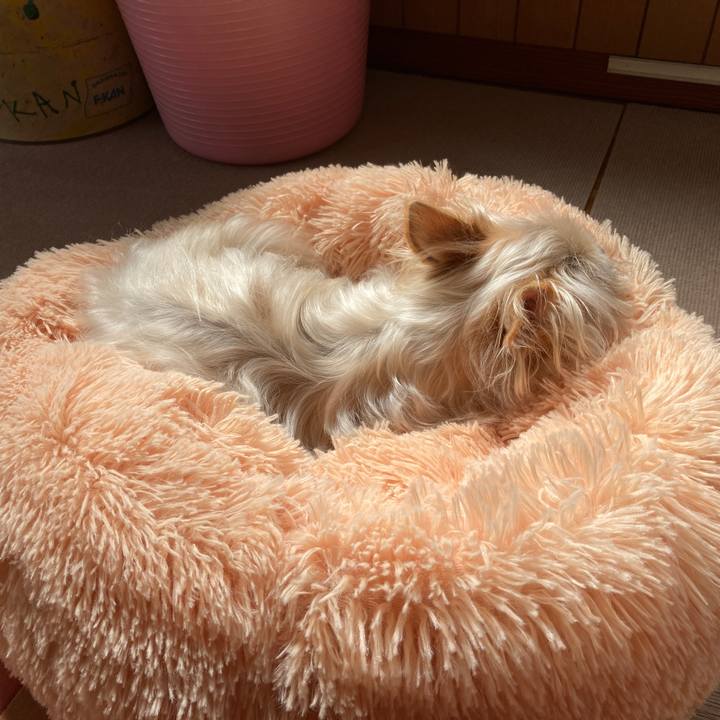 899b3bc4 c48a 45c3 9f11 11622a79a790 1617496509256