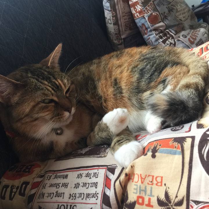 899b41dc d480 40f8 bf45 f1f495b9cead 1557116326998