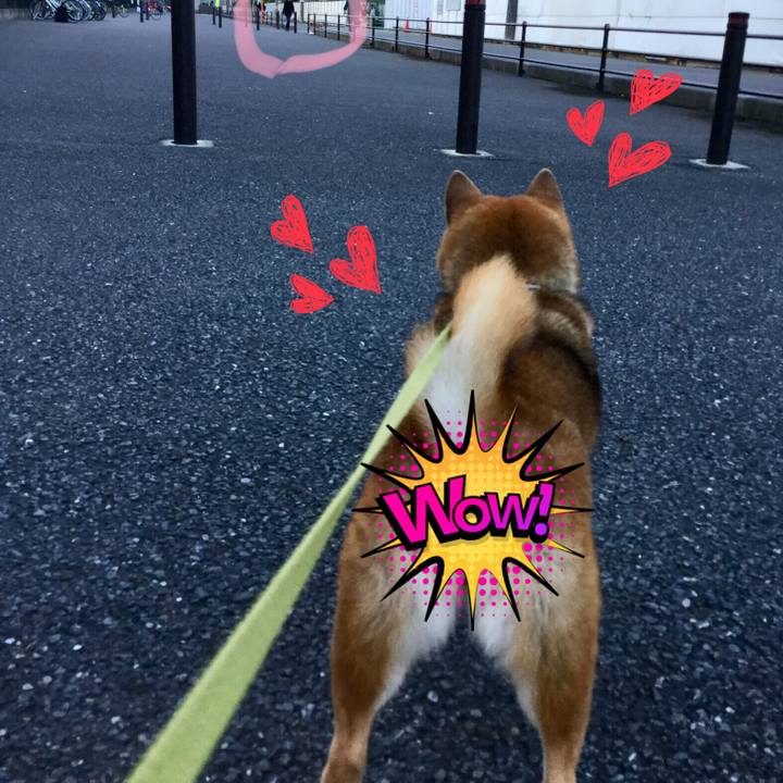 899b733b e2d6 4df1 b457 08a7fdcdfe3f 1601197666514