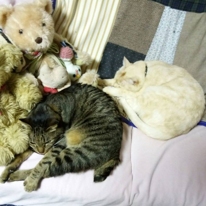 899bb2ca 4482 40a3 970b 2eaadb07b2c5 1518735069064