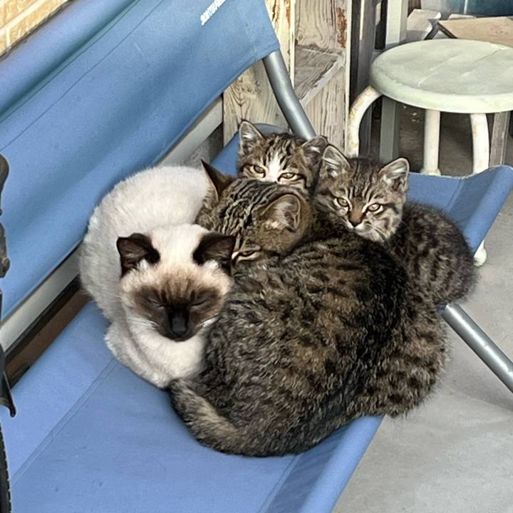 899bc1dc 7bd2 4e78 87ad c8dabef4b44b 1767177020174