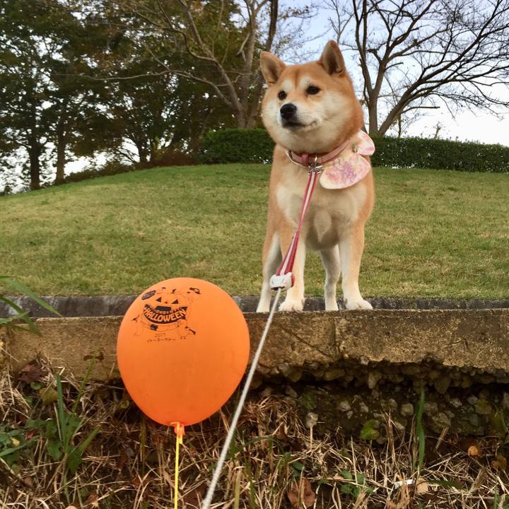 899bd5ee ed80 4005 a443 9e0506108c19 1509109189363