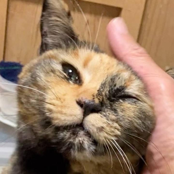 899bfc6a 0e97 4e86 9ac3 c041d89be2d0 1738613251663