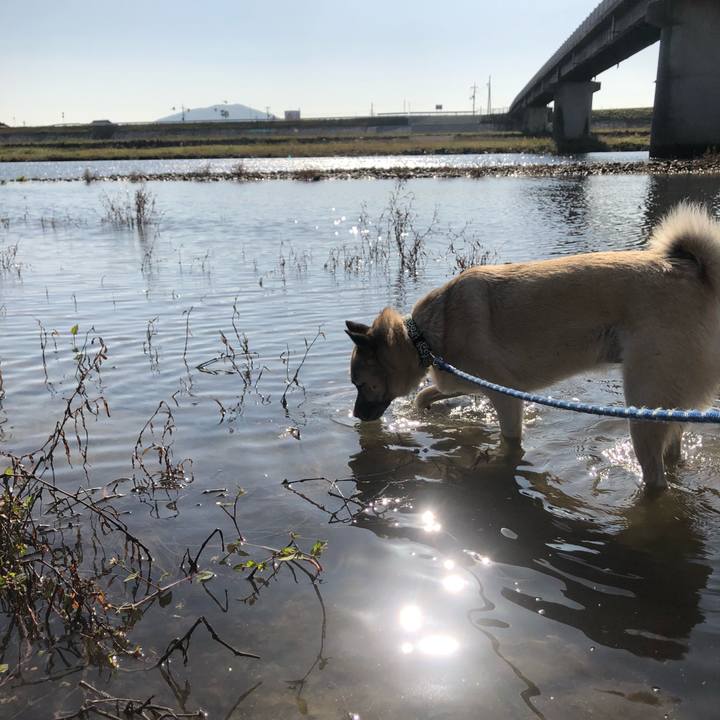 899c084c fee0 40ab a091 494ae115f994 1605443761998