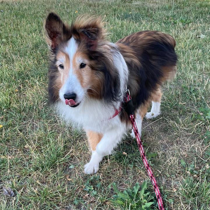 899c2d92 b359 4c7a 8367 1b669532f080 1626506421944