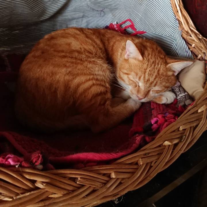 899c45a5 9377 47a5 810b 1fc83a639bf9 1569031184252