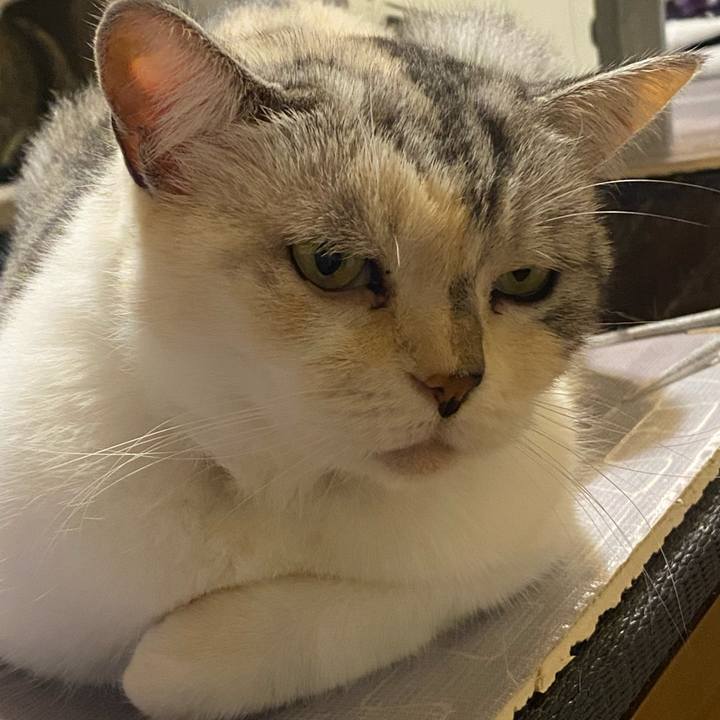 899c5af6 4aa5 4cfc a2c8 26ed2d7f7e0e 1634035320020