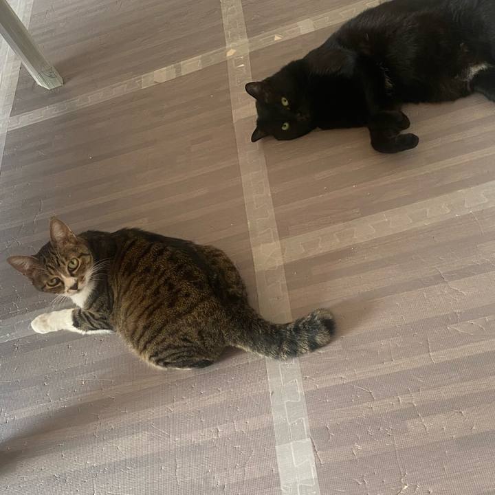 899c82b6 fb1a 42b2 8b1e fd1e12168866 1622335050281