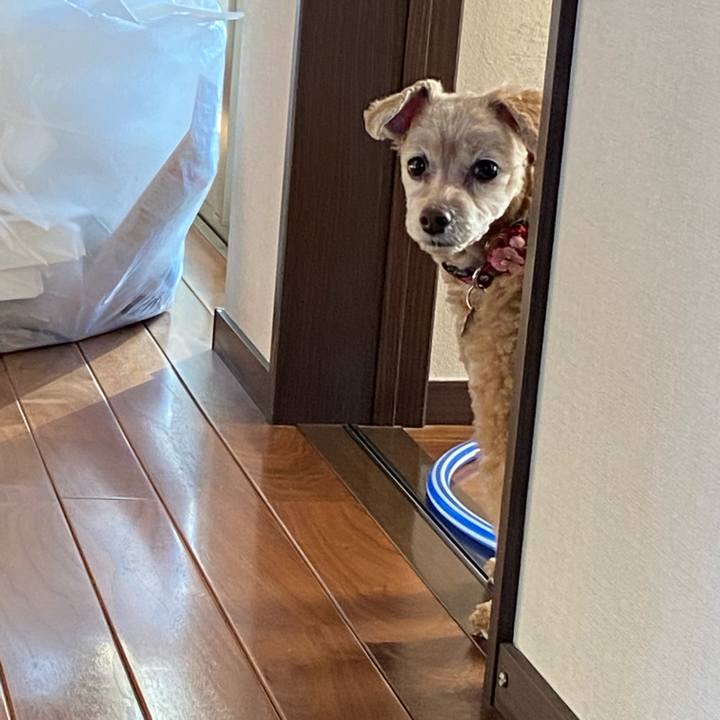 899c8c6b 2a0f 4f25 8733 56a859319acb 1609423593898