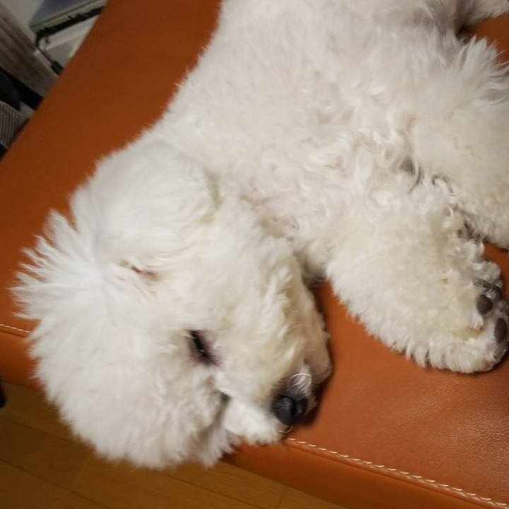 899cd01c f7ee 4f57 ba46 62c08d042d3a 1507893446472