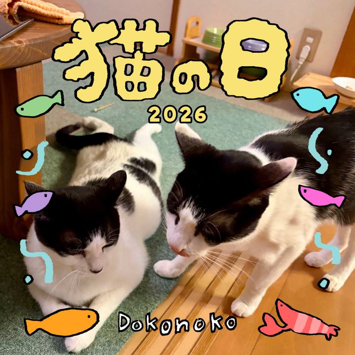 899cd5b1 126d 4a10 8c25 59533d0a76af 1771761561249