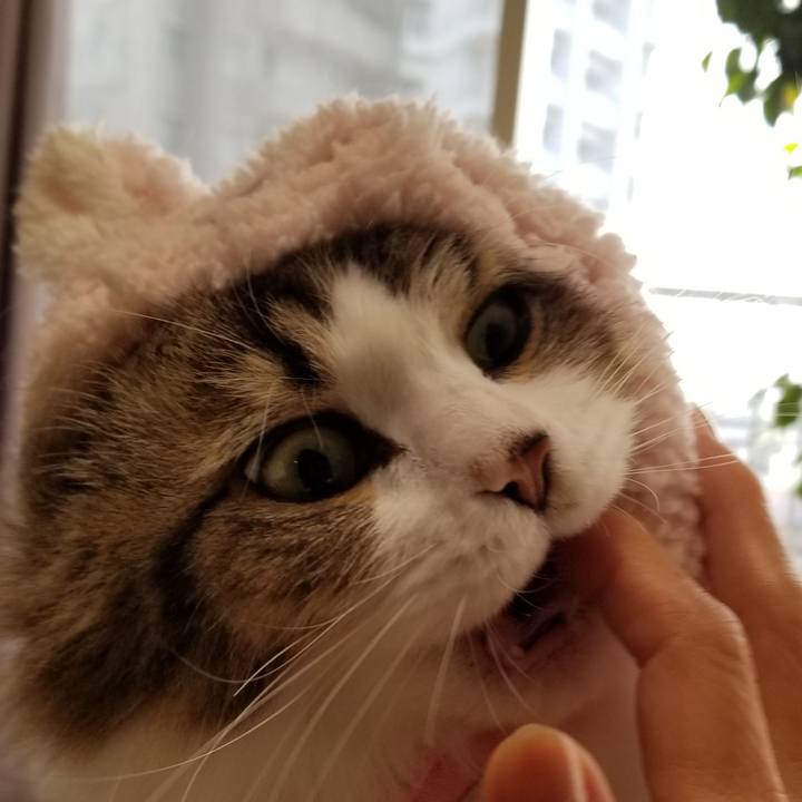 899cdd58 839b 4cca 8063 289e298ef8f6 1544228433978