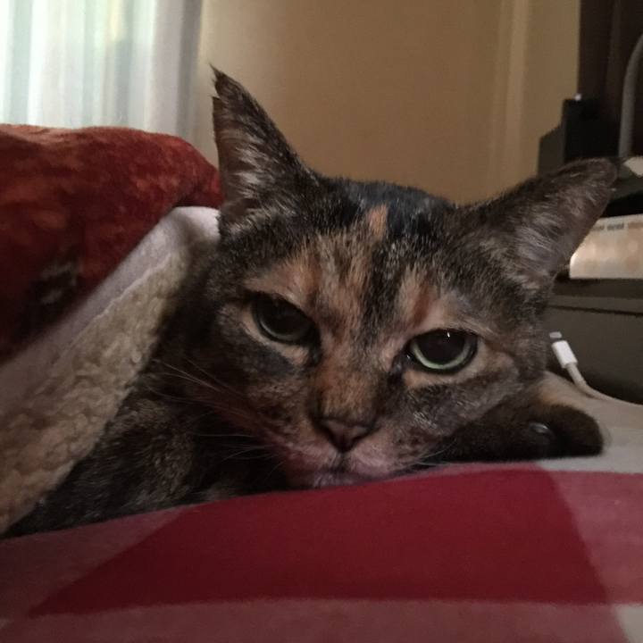 899d1da9 bf24 4fe4 80c8 e0b530d444f4 1519769436099