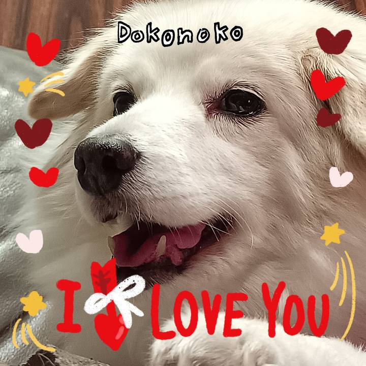 899d6f4a cbcc 4235 8458 dbaa5ee2dff2 1706940374614