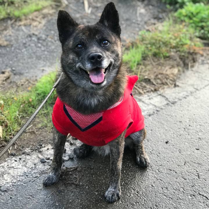 899da9f0 1ad4 4d23 883e 11b822aa931a 1572491133632