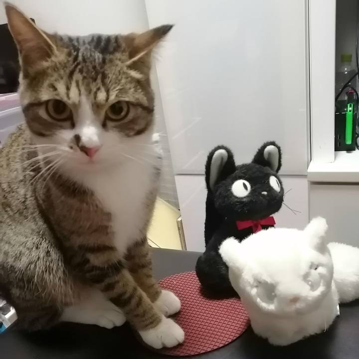 899dcf38 48c8 41dc 89db 11f4d02e918d 1677018565394