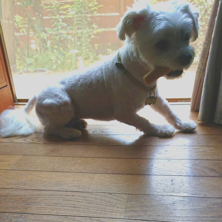 899dd07a 86d0 4af0 847a 7c11385d9291 1533092768765