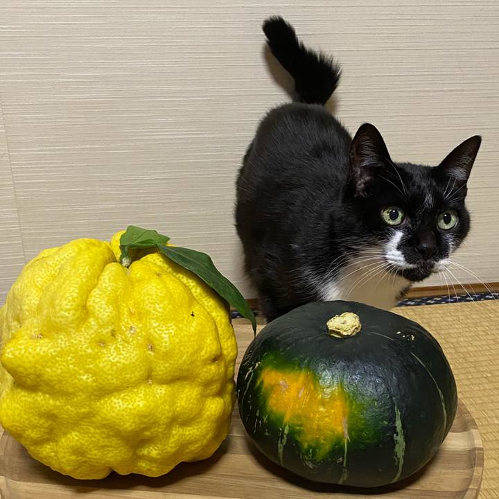 899e26d8 7826 49ba a65a b1fb019062e8 1608508949138