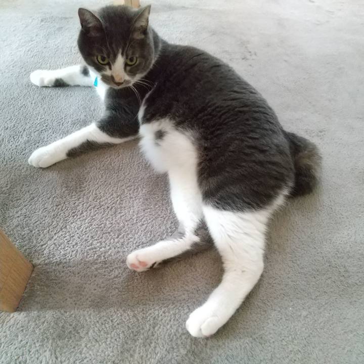 899e52f6 a286 426f 9a3f 018e388656c0 1628026620526