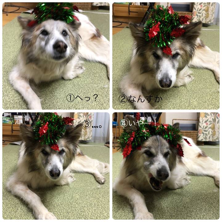 899e5f04 0d22 43f0 95ef 474b15a44be3 1514101999937