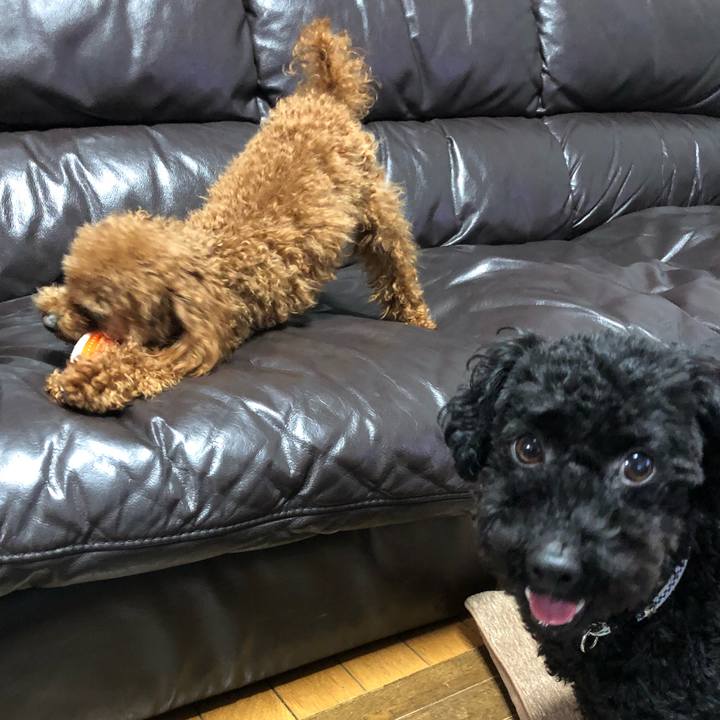 899e73ab d256 4638 8b9f 8c5cb2e47845 1522192023628