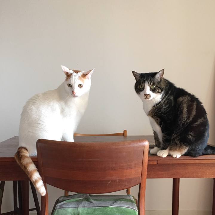 899ed355 5f6b 4d74 93d1 7e862eac2e56 1556670210573