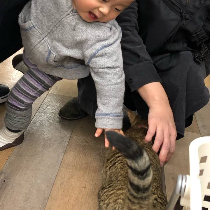 899f0e65 5784 462c a9b7 eb8404e1187a 1618726808812