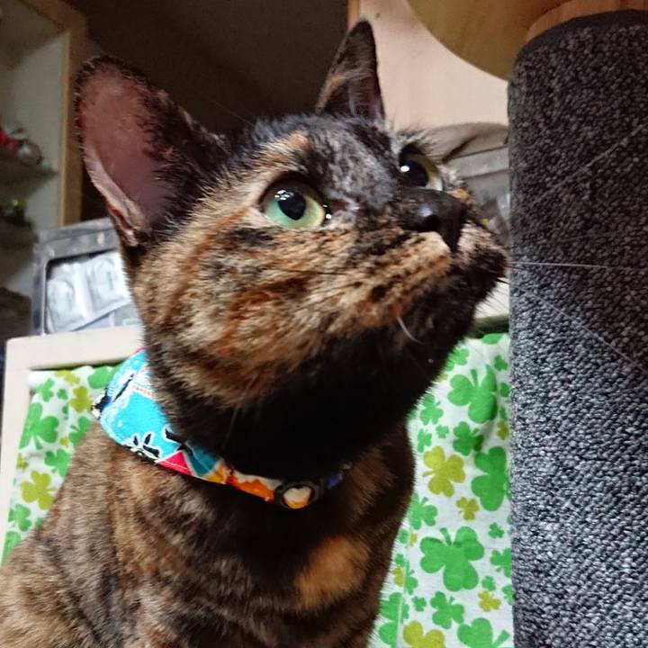 899f157a 34cc 4cd5 8d81 87eece07b2b0 1534259295553