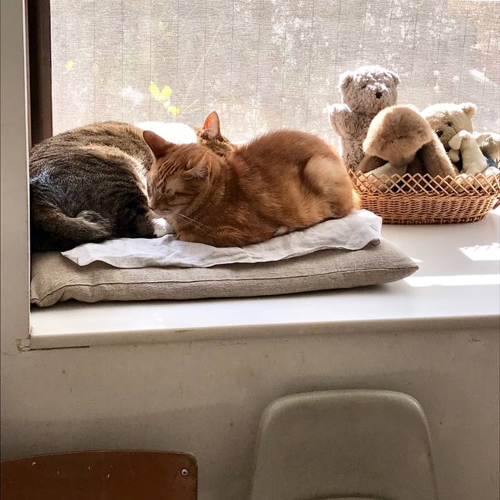 899f2477 3c45 475a bac3 e73887233ea0 1550714458509