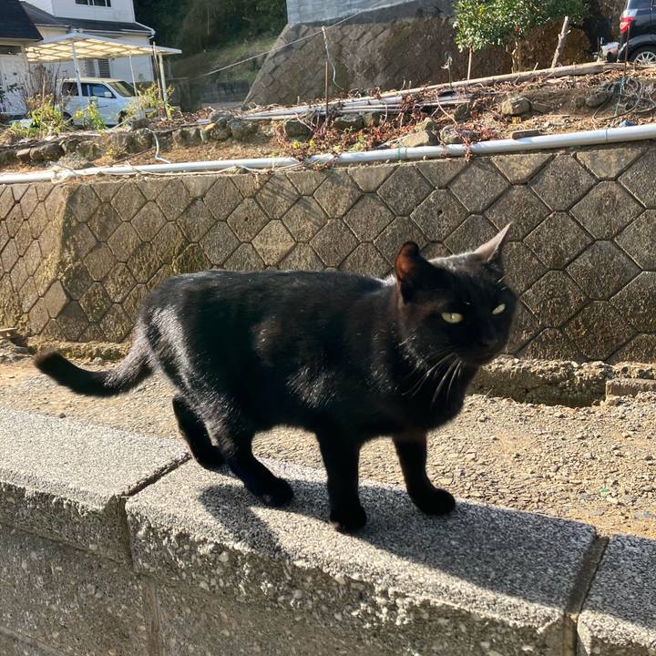 899f560e 8eb5 4176 b594 d54474539ef6 1764111102279