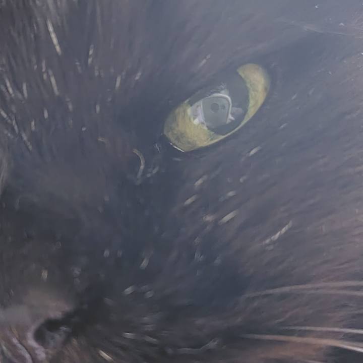 899f8a66 c8d0 4ec7 800b 1ad5e38d6c47 1737121593186