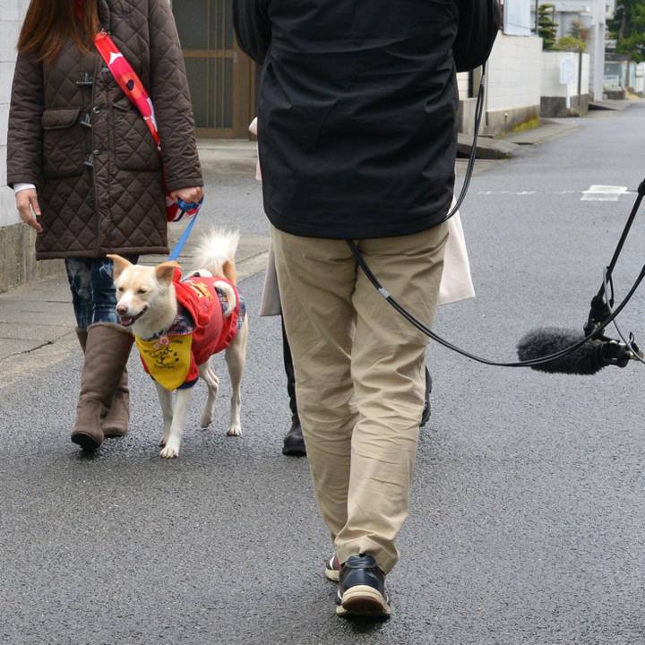 899fa5ad fa9e 4e1d b711 27538b6a97b9 1549727573927